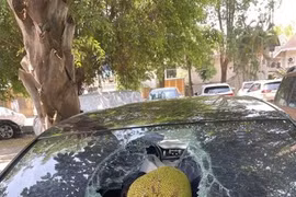 Đỗ xe dưới cây mít, chủ xe mất ngay chục triệu oan ức 