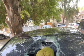 Đỗ xe dưới cây mít, chủ xe mất ngay chục triệu oan ức 