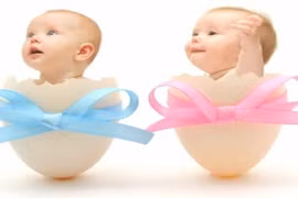 Video: Canh trứng để sinh con trai là vô ích?