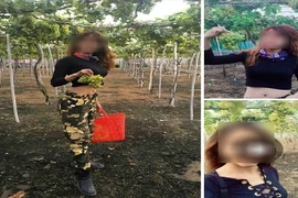 View - Chiêm ngưỡng vẻ đẹp hoang sơ của huyện đảo Lý Sơn | Báo Tri thức và Cuộc sống - TIN TỨC PHỔ BIẾN KIẾN THỨC 24H