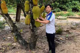 Hiện tượng mạng Lệ Rơi ở tuổi 36 có cuộc sống ra sao?