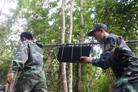 Ảnh: Triển khai 4 hướng tìm kiếm trực thăng rơi ở núi Dinh