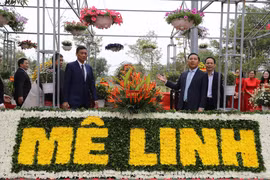 Khai mạc Festival hoa Mê Linh 2022, tưng bừng hương sắc