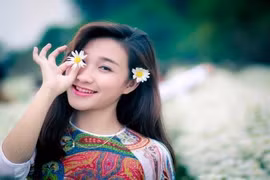 Đua nhau khoe ảnh Hà Nội đẹp nhất mùa cúc họa mi