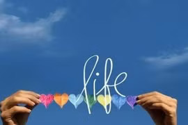 Video: 10 thay đổi kỳ diệu của cơ thể khi bạn ngừng ăn thứ này 