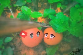 Cách ly toàn xã hội dài ngày, cô nàng se duyên cho cặp đôi cực đặc biệt