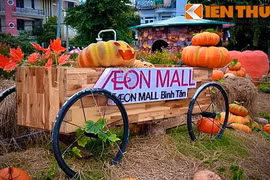 Giới trẻ Sài thành phấn khích với vườn bí ngô “khủng” đón Halloween