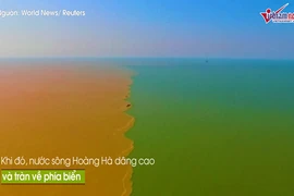 Video: Cảnh tượng ngoạn mục khi sông Hoàng Hà chảy ra biển khơi 