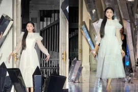 Lọ Lem gặp cú vấp đầu đời, bị tấn công mạng 