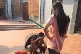 Chồng trốn đi đá gà bị vợ “đánh không trượt phát nào“ rồi nhốt chung với gà