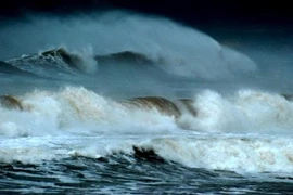 Hơn 2.000 du khách bị kẹt ở đảo Lý Sơn do thời tiết xấu