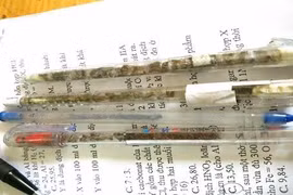 Thú vui kì dị mới của dân mạng: Sưu tầm muỗi