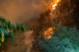 Cháy rừng lau, lách ở Sơn La, hàng trăm người nỗ lực khống chế 