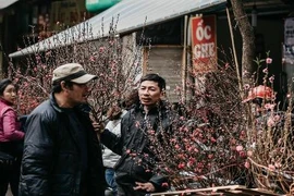 Giới trẻ thích thú với phiên chợ hoa Tết lâu đời nhất ở Hà Nội