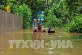 Mưa lũ, lở đất ở Ấn Độ, gần trăm người thiệt mạng