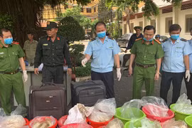 Vì sao ma túy từ khu vực "Tam giác vàng" vào Việt Nam tăng mạnh?