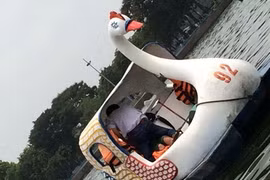 Xôn xao hình ảnh cặp đôi vô tư diễn "cảnh nóng" trong lúc đạp vịt