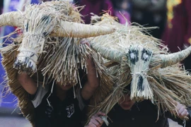 Độc đáo lễ hội “Trâu rơm bò rạ” tôn vinh văn hóa lúa nước