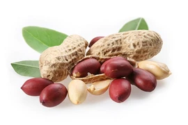 Kinh ngạc công dụng kỳ diệu khi mỗi ngày ăn vài hạt lạc