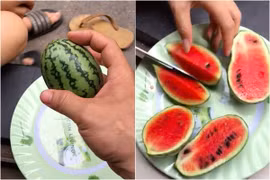 Khoe trái dưa hấu "hiếm có khó tìm", anh chàng bổ ra ai cũng thèm