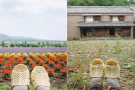 “Thánh” dép tổ ong tái xuất với chuyến rong ruồi miền Bắc nước Nhật