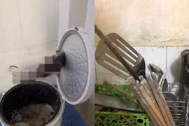 Trở lại phòng trọ sau Tết, sinh viên phát hiện có "khách lạ" 