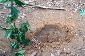 Vật thể lạ rơi xuống vườn nhà dân ở Yên Bái, Tuyên Quang