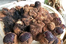 "Thần dược” cho quý ông không hiệu nghiệm “thối lại tiền”