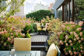 Người đàn bà trong biệt thự hoa hồng và bí mật của chồng tôi