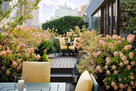 Người đàn bà trong biệt thự hoa hồng và bí mật của chồng tôi