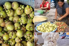 Việc nhẹ lương cao ở Việt Nam nhiều nghề nghe... lạ tai