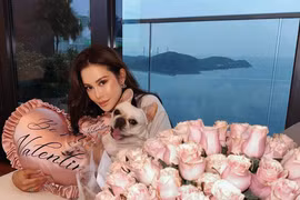 Ái nữ thuộc giới siêu giàu Hong Kong khoe cuộc sống sang chảnh