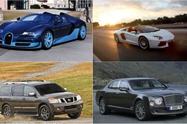 Những nhà vô địch... “uống xăng” trong thế giới xe