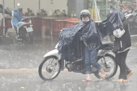 Cơn mưa “vàng” giữa đợt khô hạn ở Lâm Đồng