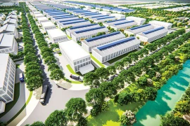 Tập đoàn Công nghiệp Cao su đầu tư vào KCN 500 ha ở Tây Ninh