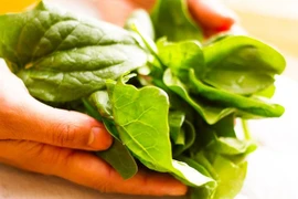 Ăn gì bổ phổi, thở sâu? 14 thực phẩm có ngay ở quanh bạn