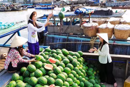 Tỉnh duy nhất của nước ta có 2 vườn quốc gia, 3 mặt giáp biển