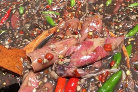 Ngon hết nấc loạt đặc sản mắm không làm từ cá ở Việt Nam 