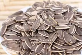 Mua hạt hướng dương, thấy 3 loại này nên tránh