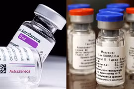 Biết gì về 6 loại vắc xin COVID-19 được Bộ Y tế cấp phép?