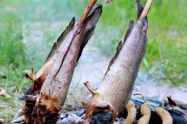 Loạt món ngon từ cá lóc ở miền Tây