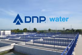 DNP Water báo lãi gấp 36 lần cùng kỳ lên 101 tỷ sau khi gom SII thành công