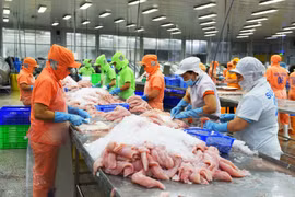 Vĩnh Hoàn và Nam Việt khi nào phục hồi trở lại?