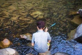 Vì một truyền thuyết nên không ai dám ăn cá ở đây