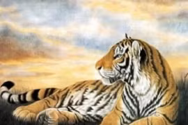 Cuối năm, xem vận may của 12 con giáp, con giáp nào tốt nhất