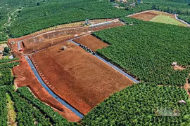 Dự án có đất hỗn hợp, Lâm Đồng “cầu cứu” 4 Bộ hướng dẫn