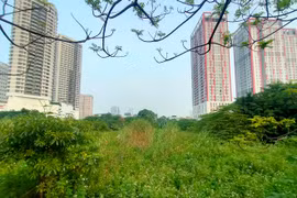 Cỏ hoang phủ đầy trên 'đất vàng' Constrexim Complex ở Hà Nội 