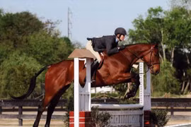 Top 10 chú ngựa đắt nhất trong lịch sử, đại gia tranh nhau sở hữu 