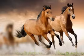 Tuần cuối tháng 6 âm: 3 con giáp khổ ải qua đi phú quý kéo về 