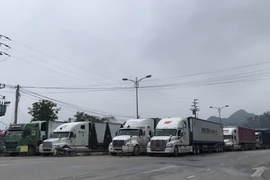 Xe hàng tắc tại cửa khẩu Lạng Sơn: Tài xế vạ vật, không thể về ăn Tết